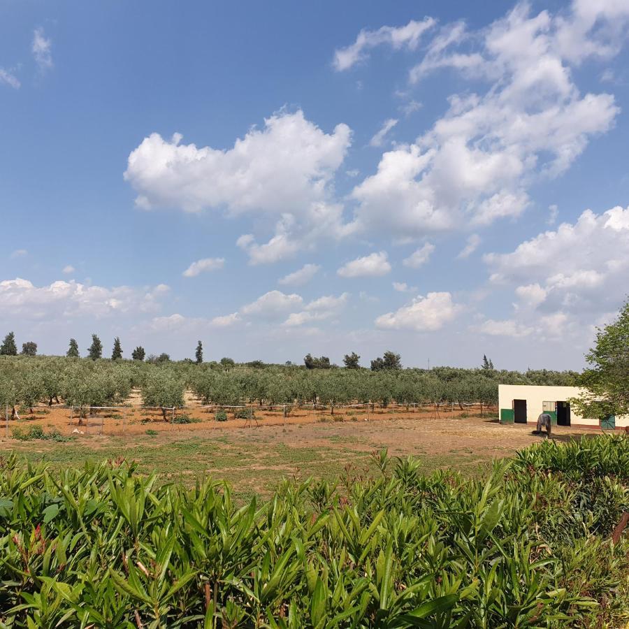 Finca-Vallestares Almonte Exterior foto